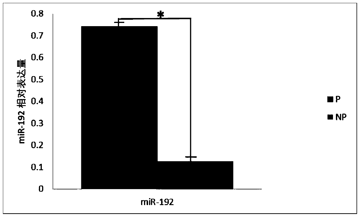 Exosome miRNA marker for early pregnancy diagnosis of sows and application of exosome miRNA marker