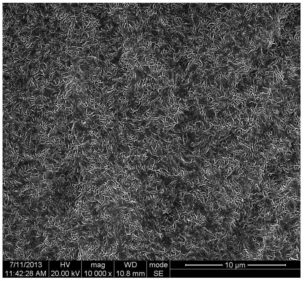 High wear-resistant high-strength ultra-high molecular weight polyethylene-based artificial joint material and preparation method thereof