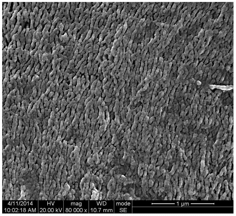 High wear-resistant high-strength ultra-high molecular weight polyethylene-based artificial joint material and preparation method thereof