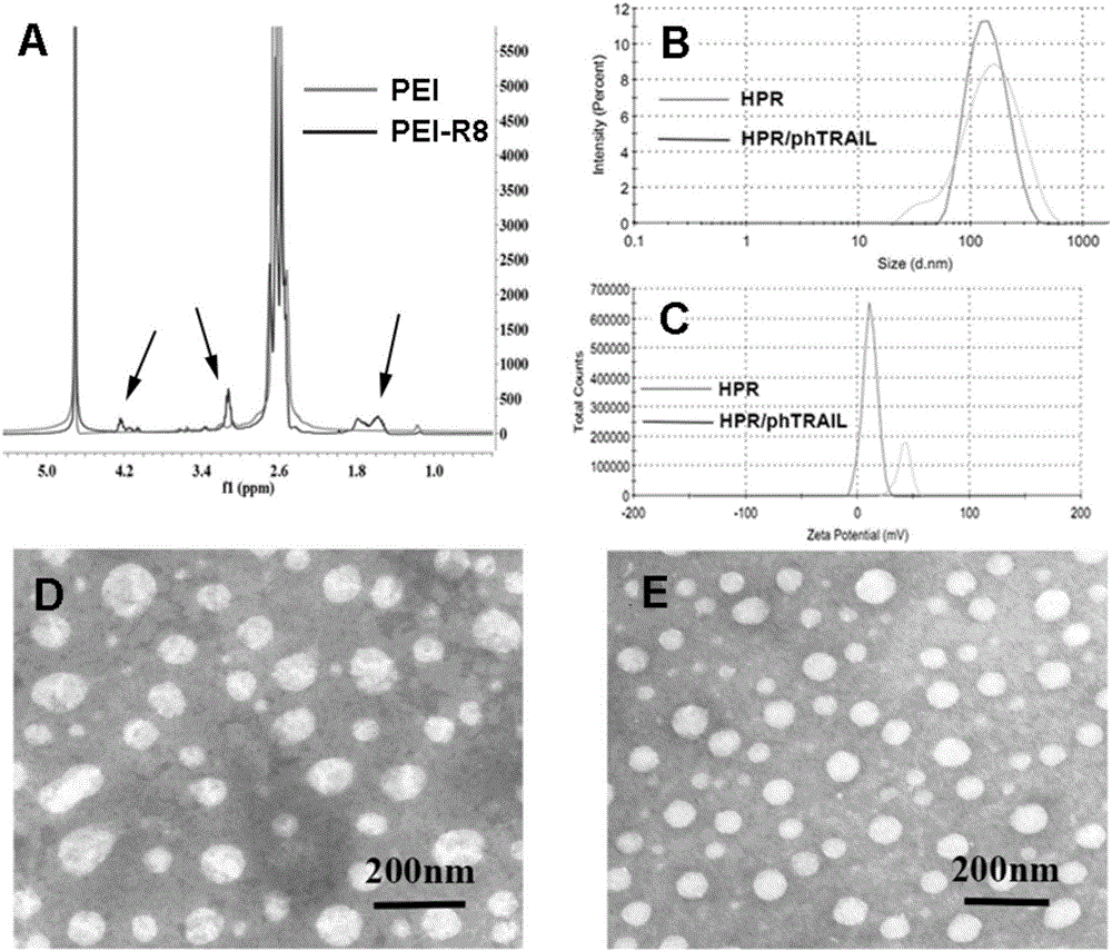 Non-viral gene vector for gene transfer as well as preparation method and use thereof