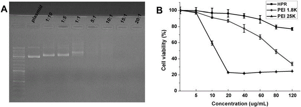 Non-viral gene vector for gene transfer as well as preparation method and use thereof