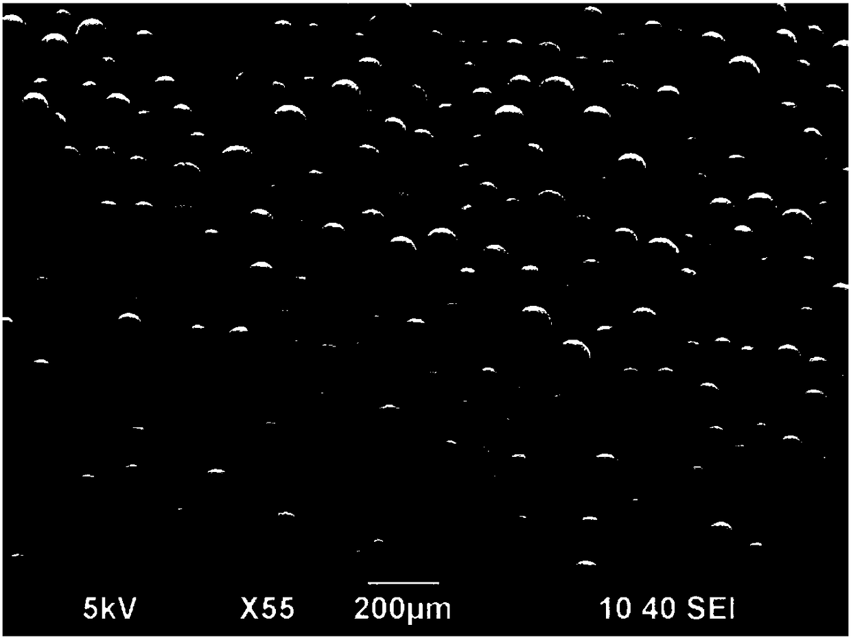 Method for detecting benzopyrene in smoked sturgeons