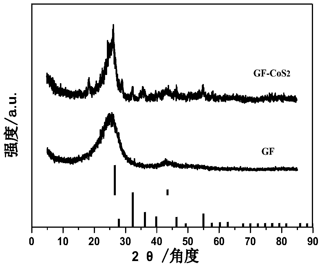 Preparation method and application of cobalt disulfide/carbon fiber composite material