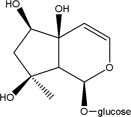 Medical application of Harpagoside ingredient