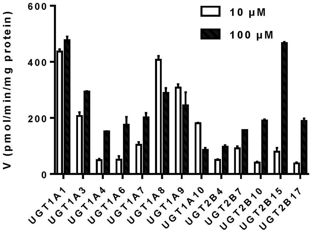 UGT enzyme activity detection method and application thereof