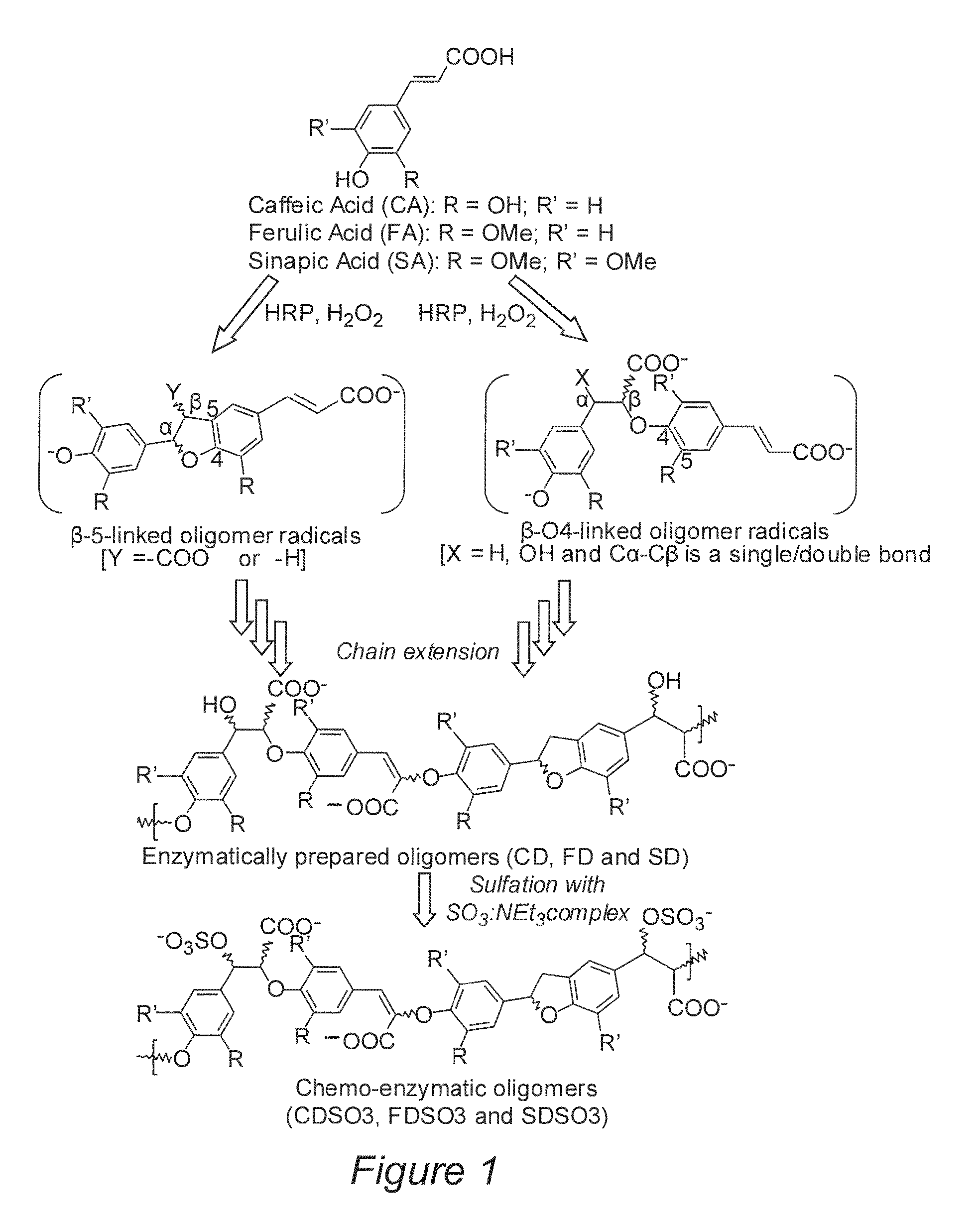 Cinnamic acid-based oligomers and uses thereof