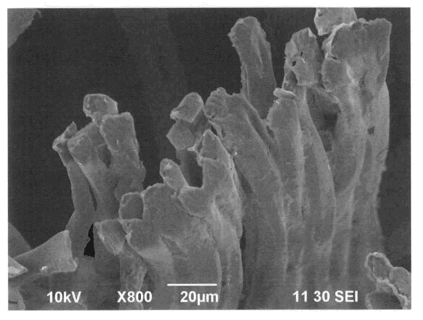 Electro-conductive fibers with carbon nanotubes adhered thereto, electro-conductive yarn, fibers structural object, and production processes thereof