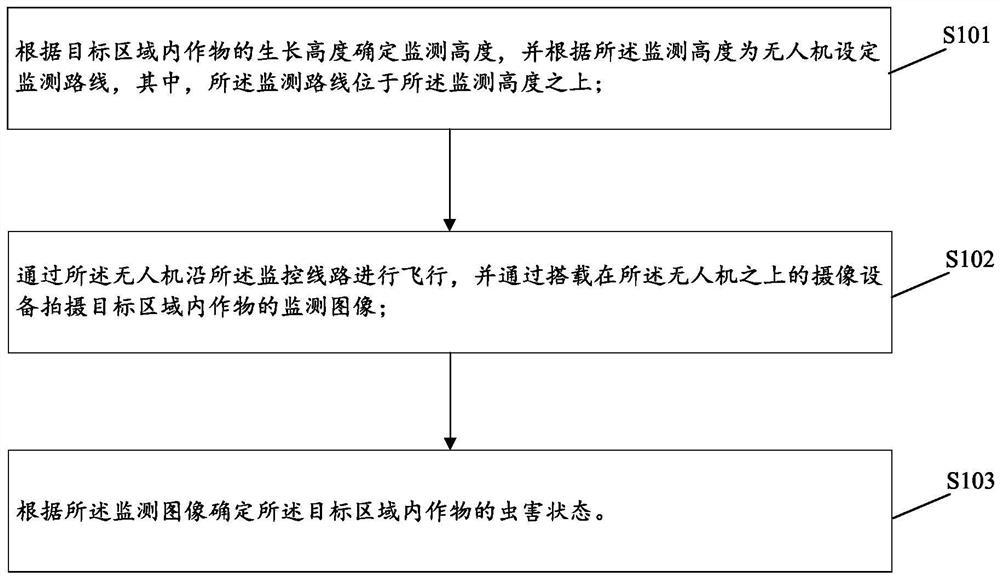 Crop disease and insect pest monitoring method and device