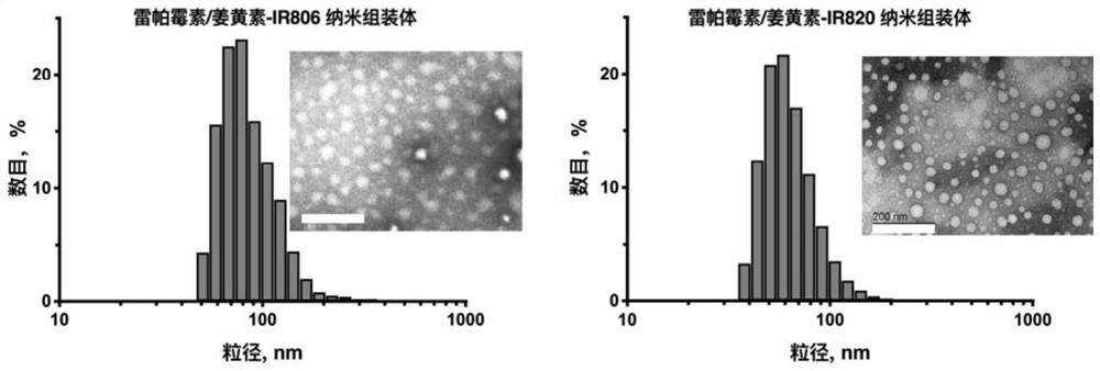 Nano assembly co-loaded with rapamycin and curcumin, preparation method and application thereof