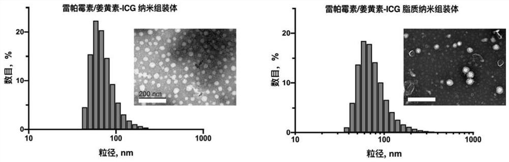 Nano assembly co-loaded with rapamycin and curcumin, preparation method and application thereof