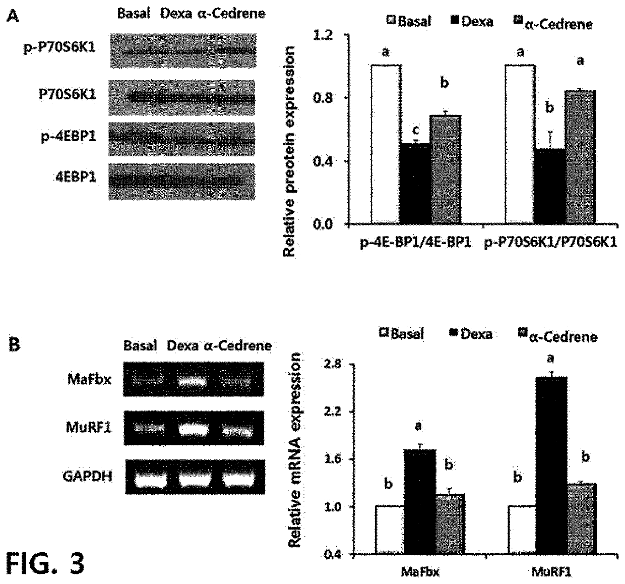 Composition containing sesquiterpene derivative as active ingredient for prevention or treatment of muscle diseases