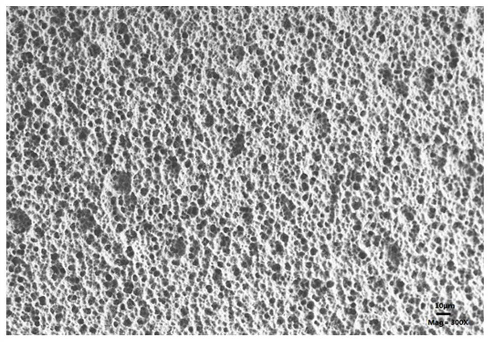 Dental implant, implant tooth and preparation method of dental implant