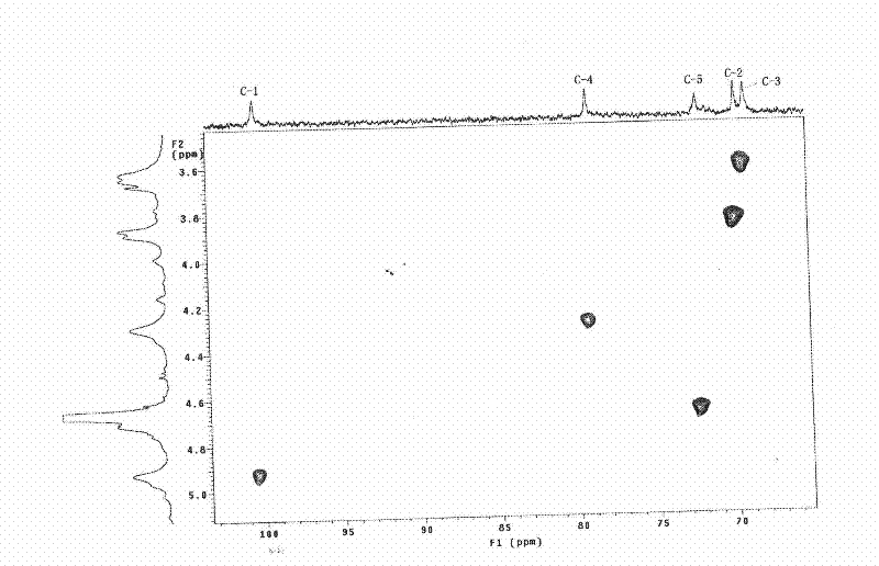 Platycodon grandiflorum polysaccharide, and degradation product, preparation method and application thereof