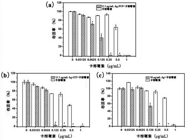 Antibacterial combination containing nano silver and kanamycin