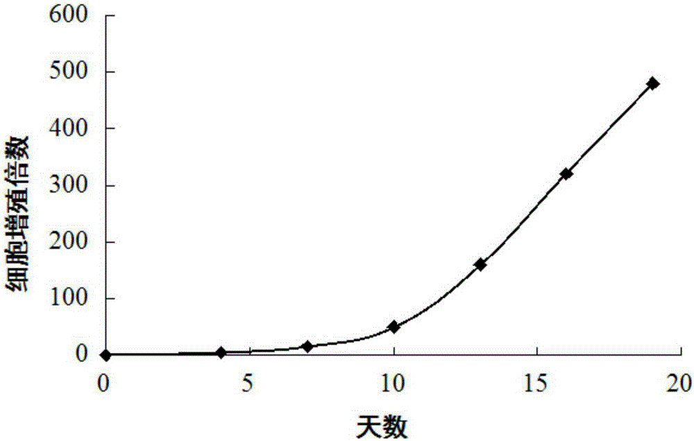 Preparation method for CIK cells with high cytotoxic activity