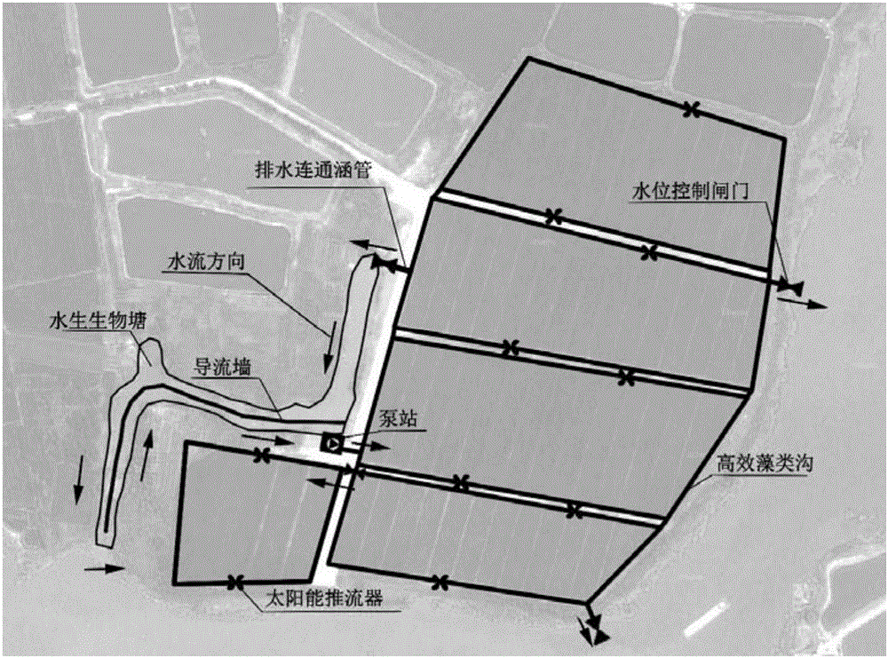 Alga-rich trench system for farmland tail water treatment and treatment method