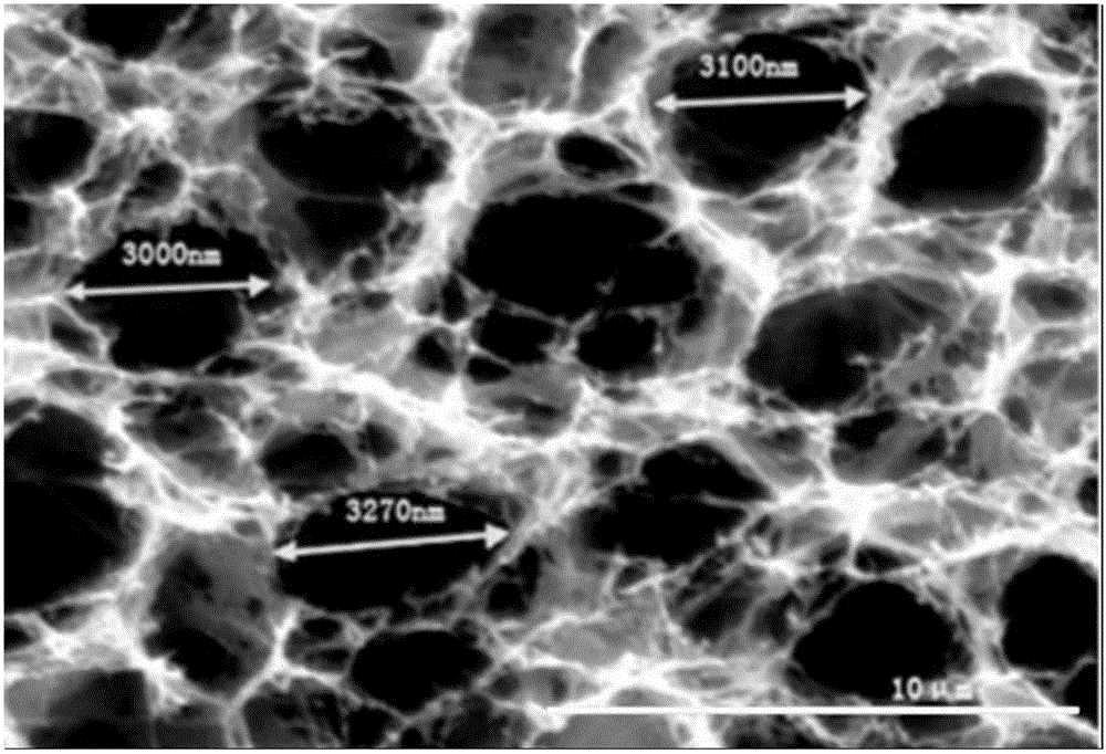 Carbon nanotube-nano-crystalline cellulose-polyvinyl alcohol composite conductive gel and preparation method and application thereof