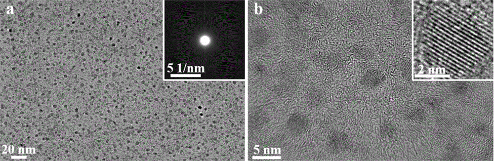 Material and preparation method of bioimaging probe and oxygen reduction catalyst