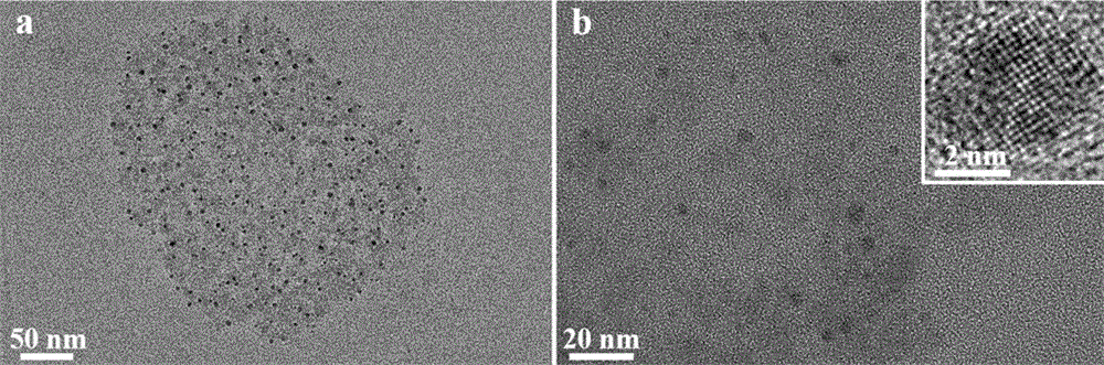 Material and preparation method of bioimaging probe and oxygen reduction catalyst