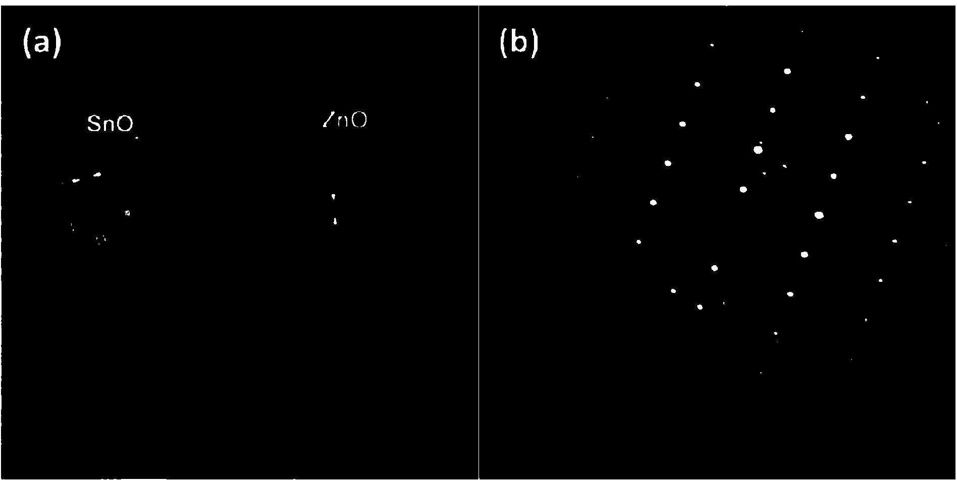 Perfluorinated sulfonic acid resin modified SnO2-coated ZnO nanotube array electrode used for detecting dopamine and application of nanotube array electrode