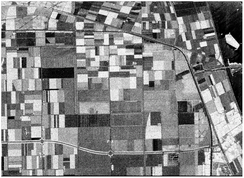 Polarized SAR image classification method based on stacked code and softmax