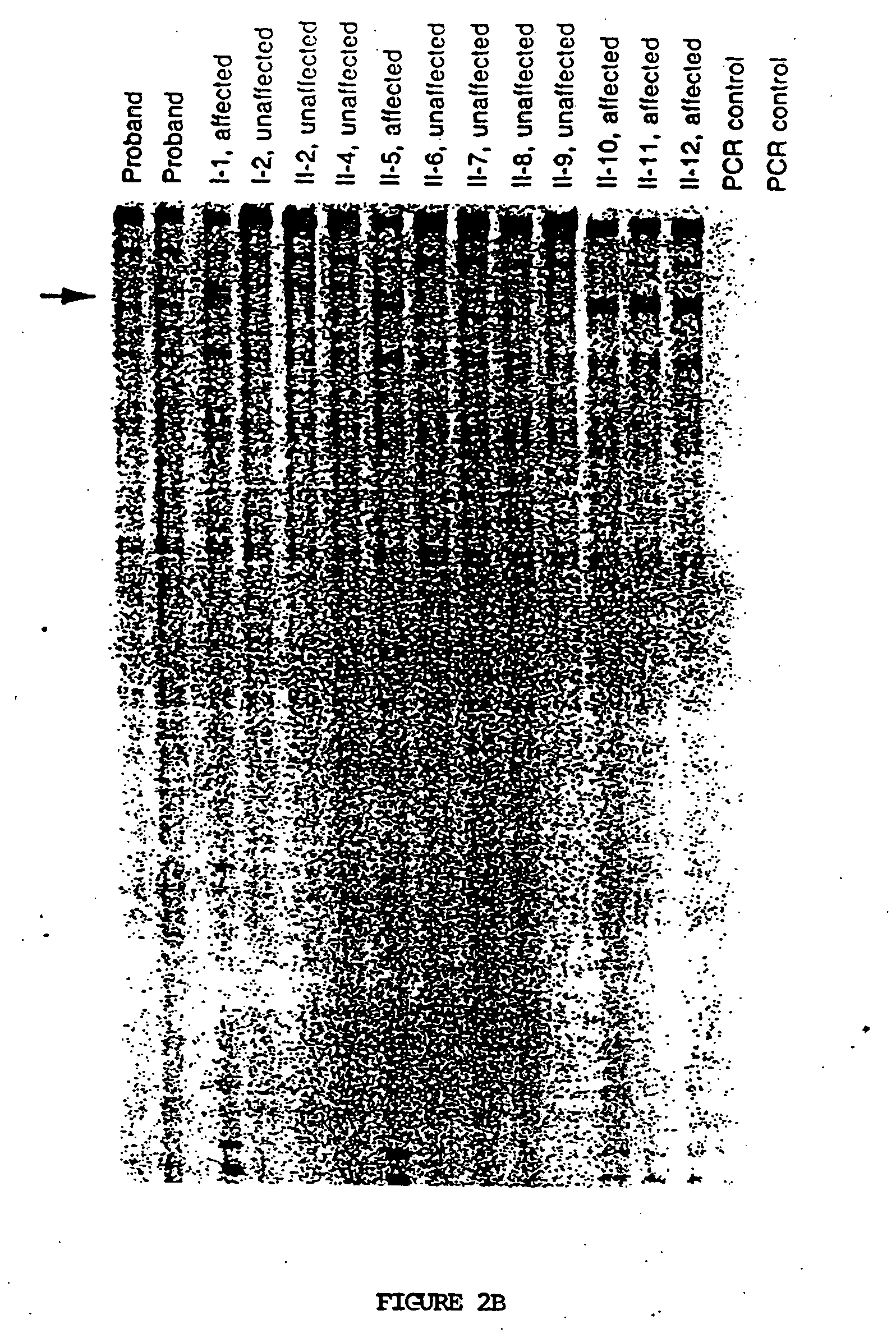 Method for detecting disease-associated mutations