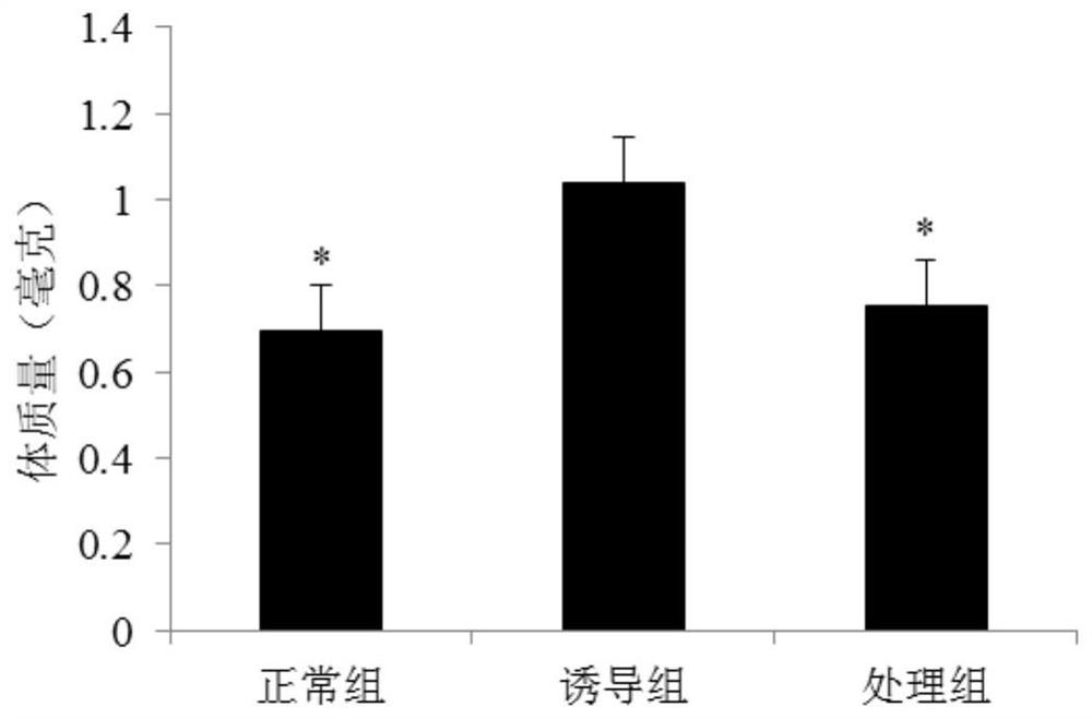 Application of alkaloid compound in preparation of anti-obesity medicine