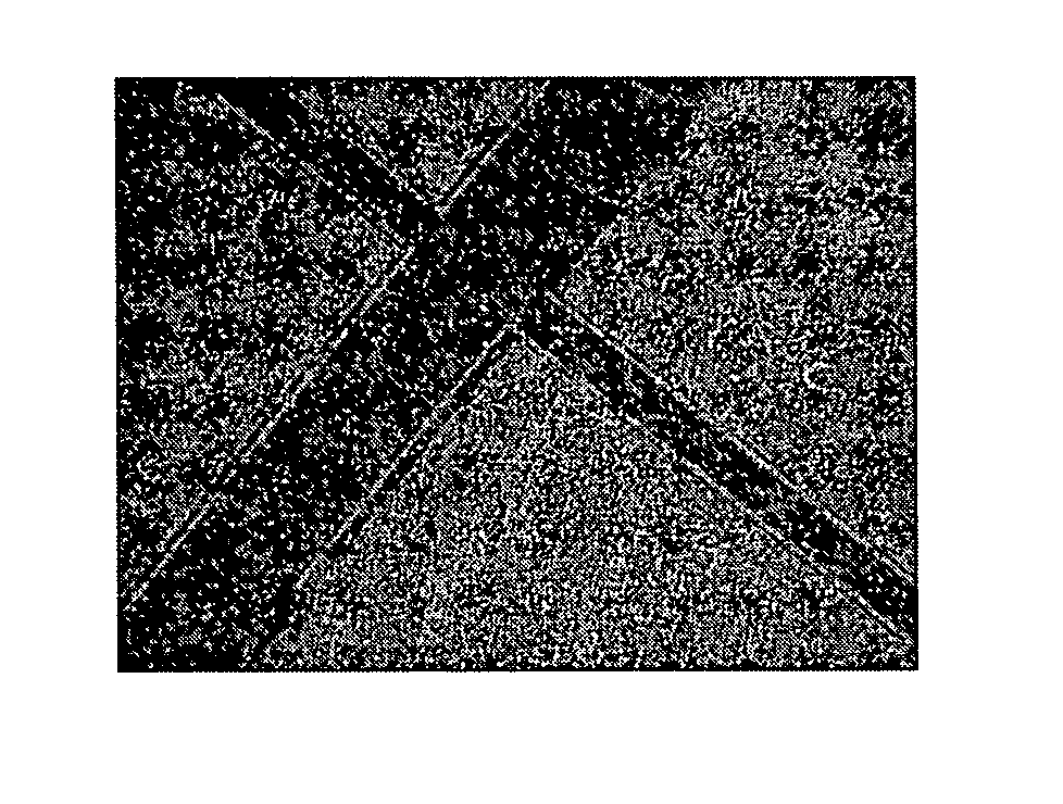 Removal of particle contamination on a patterned silicon/silicon dioxide using dense fluid/chemical formulations