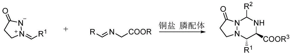 Tetralin pyrazolone triazine compound as well as preparation method and application thereof