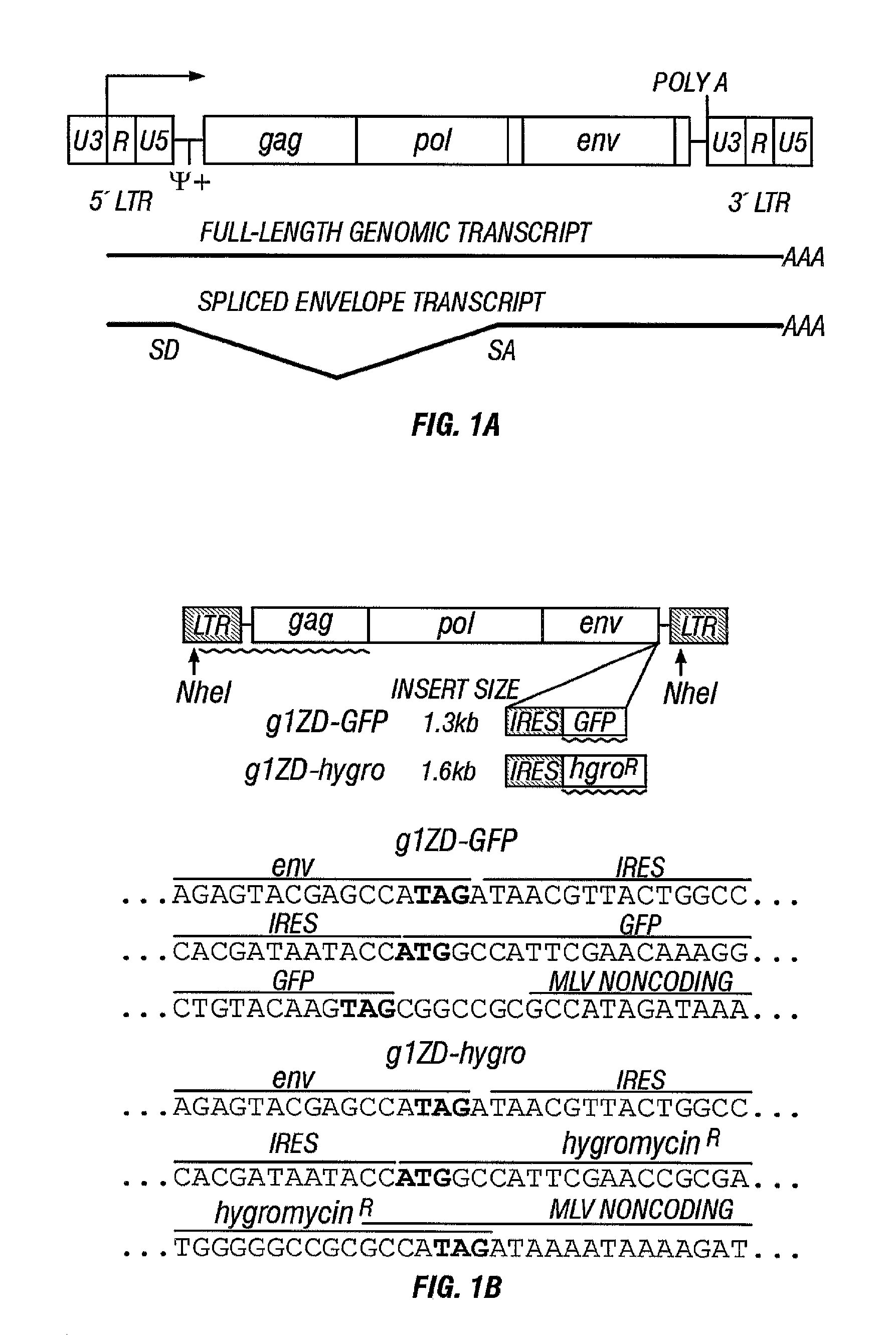 Gene delivery system and method of use