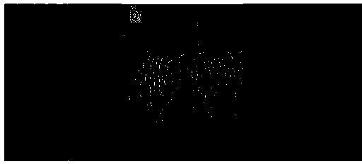 Method for manifesting metal surface hidden fingerprints through chemical sedimentation