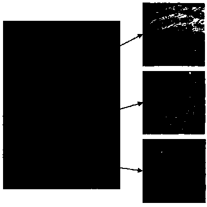 Method for manifesting metal surface hidden fingerprints through chemical sedimentation