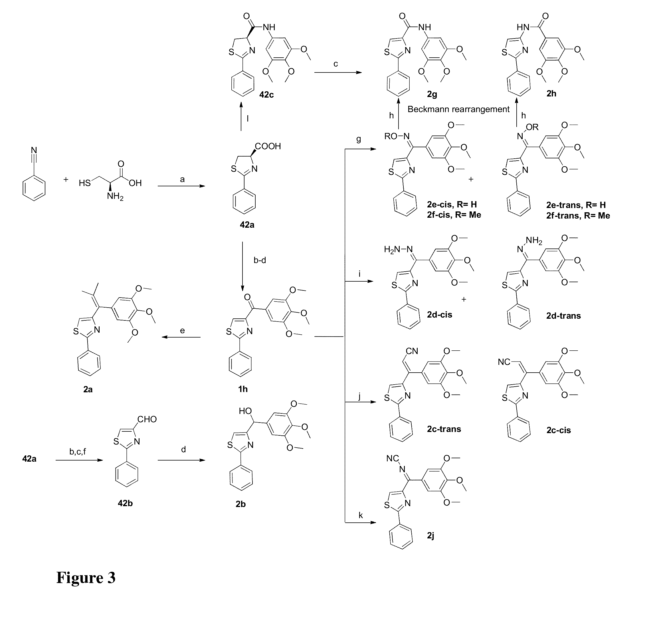 Compounds for treatment of cancer