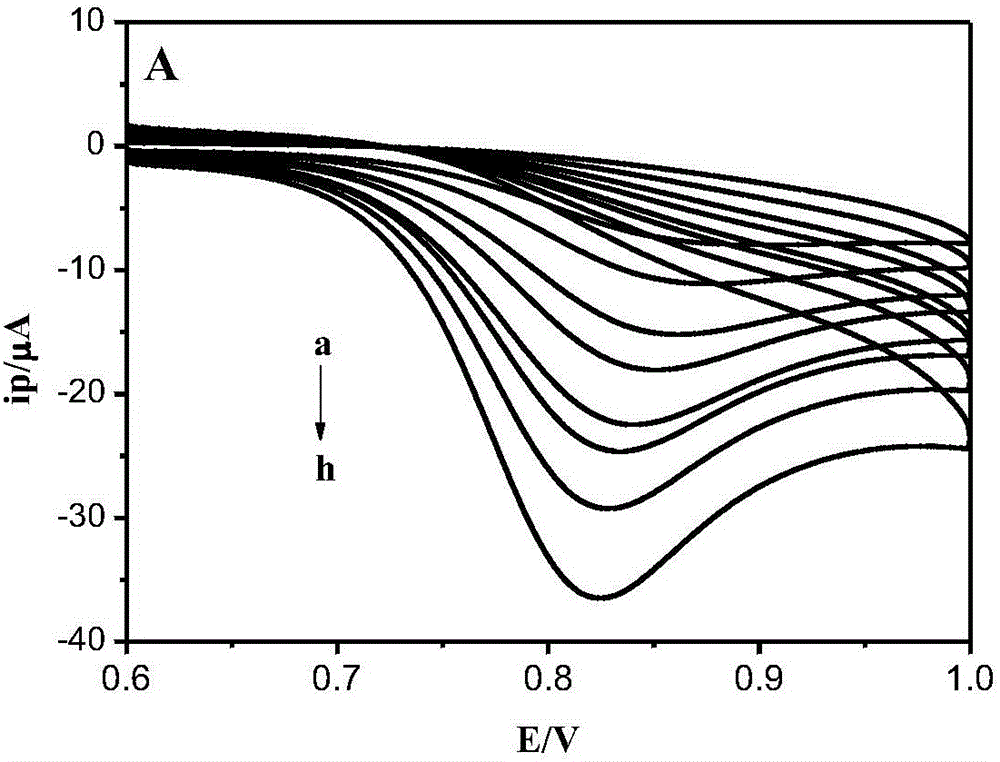 Method for detecting o-chlorophenol based on PEDOT/g-C3N4 electrode