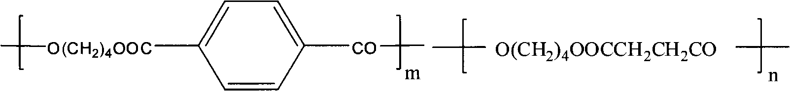 Method for preparing biodegradable copolyester fully-drawn yarns in one step