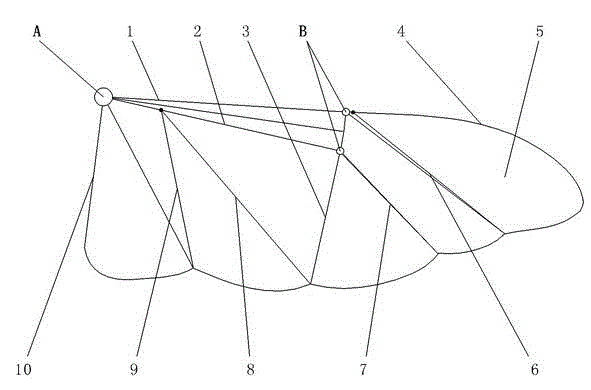 Flapping wing capable of automatically folding and unfolding for flapping wing type micro aerial vehicle