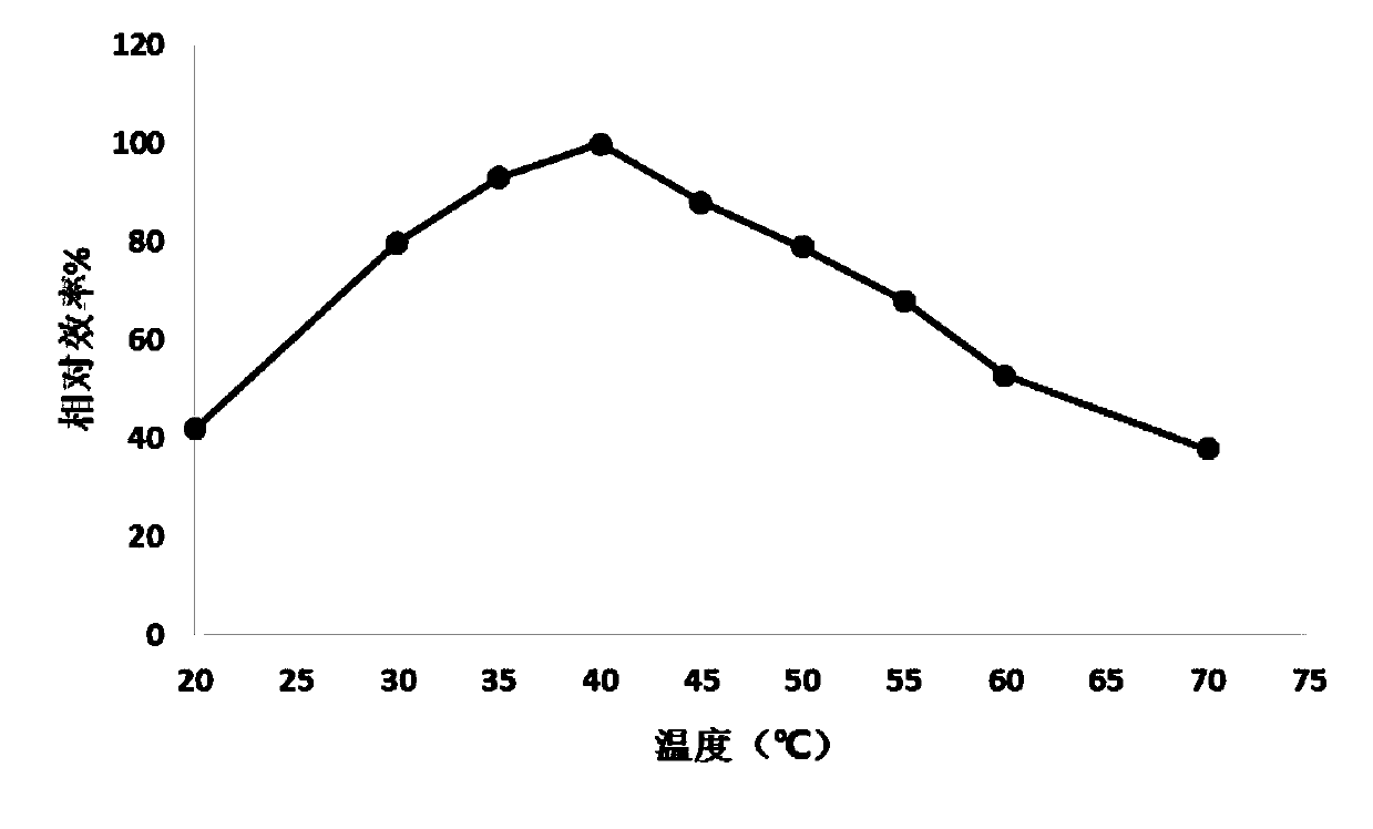 Acid cellulase preparation for low-temperature biological polishing and preparation method thereof