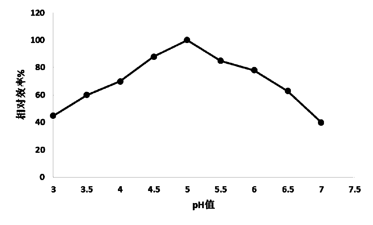 Acid cellulase preparation for low-temperature biological polishing and preparation method thereof