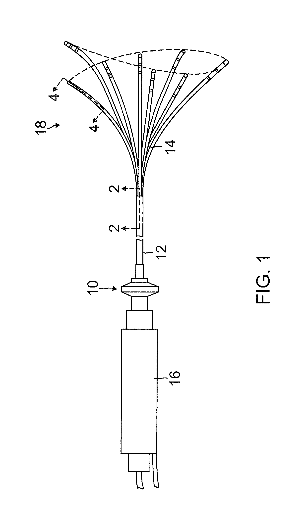 Catheter with multiple spines of different lengths arranged in one or more distal assemblies