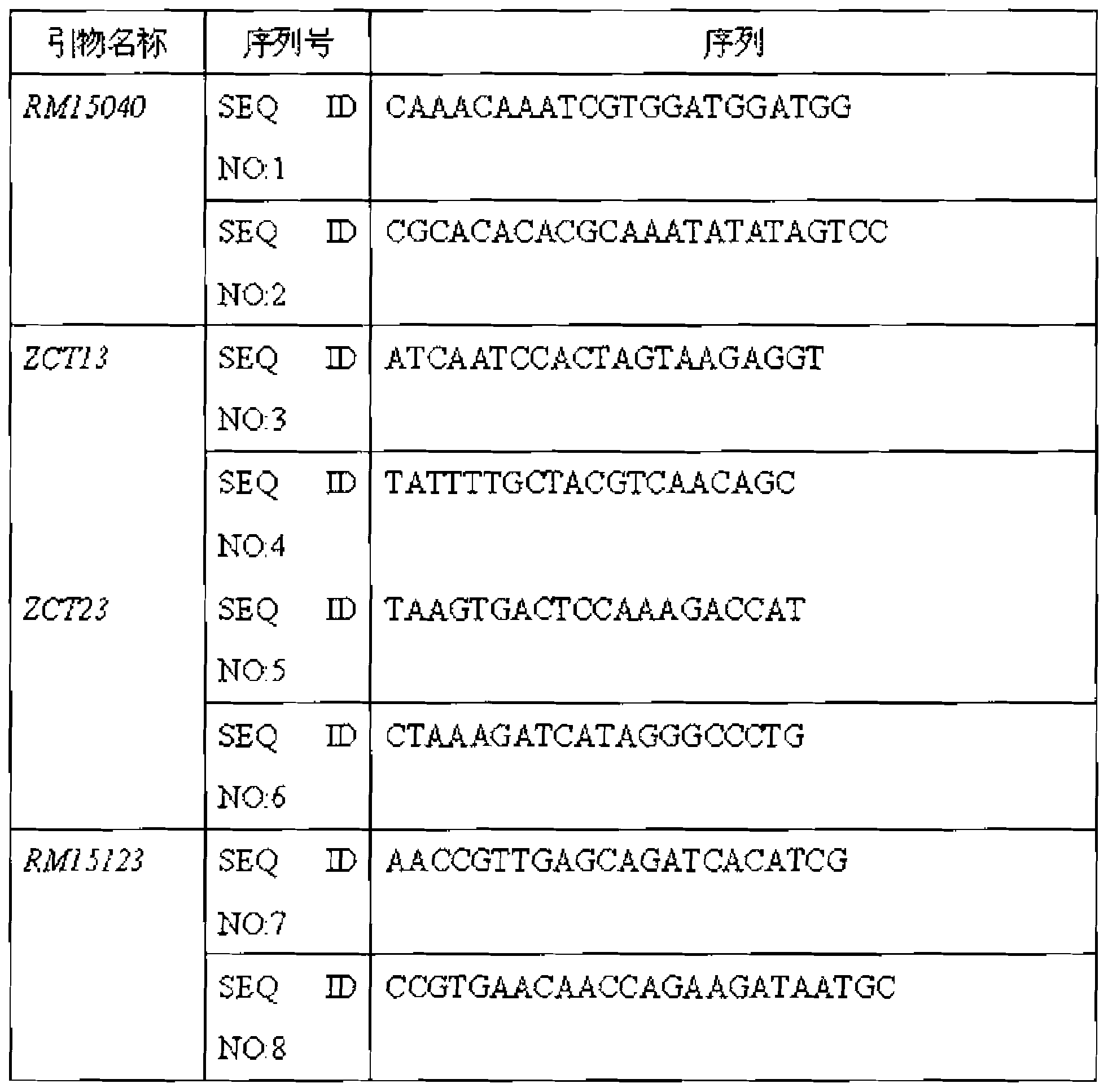 Rice cold-resistant major gene identification method and special primer thereof