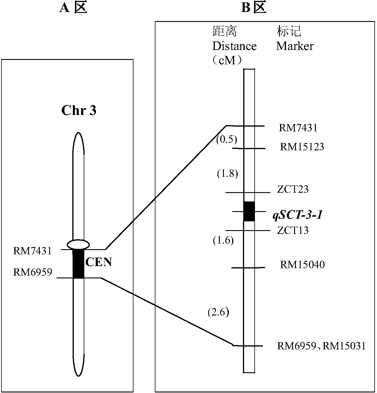 Rice cold-resistant major gene identification method and special primer thereof