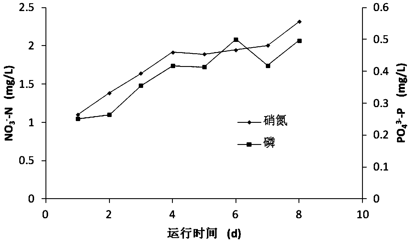 Natural pyrrhotite biological filter and method for synchronously removing nitrate nitrogen and phosphorus out of water by using natural pyrrhotite biological filter