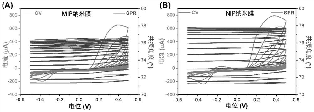 Preparation method of molecularly imprinted SPR (Surface Plasmon Resonance) sensor for detecting amphetamine drugs