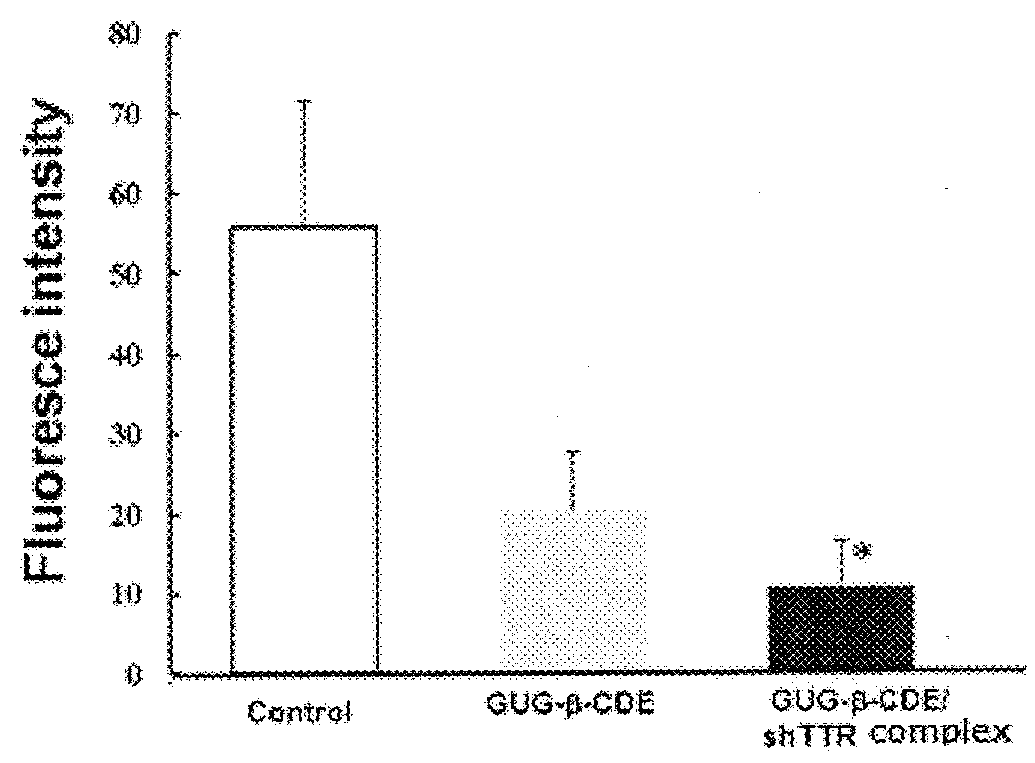 Novel amyloid fibril formation inhibitor