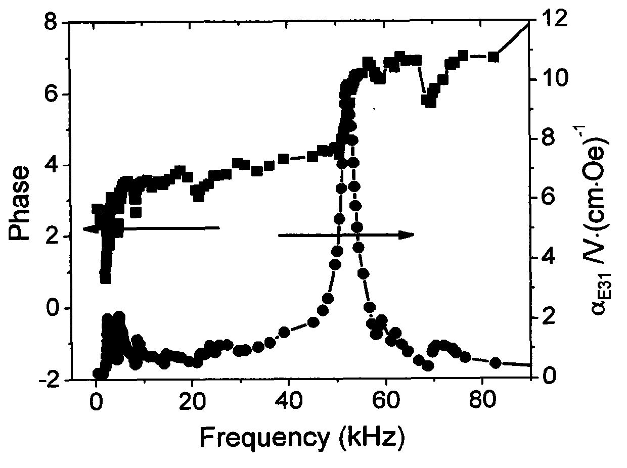 Two magnetoelectric composite materials and preparation method thereof