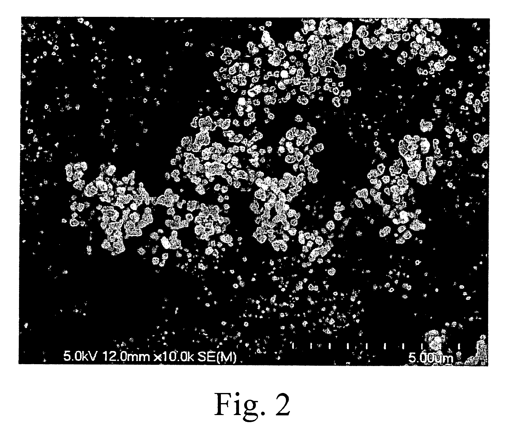 Drug-loaded poly (alkyl-cyanoacrylate) nanoparticles and process foe the preparation thereof