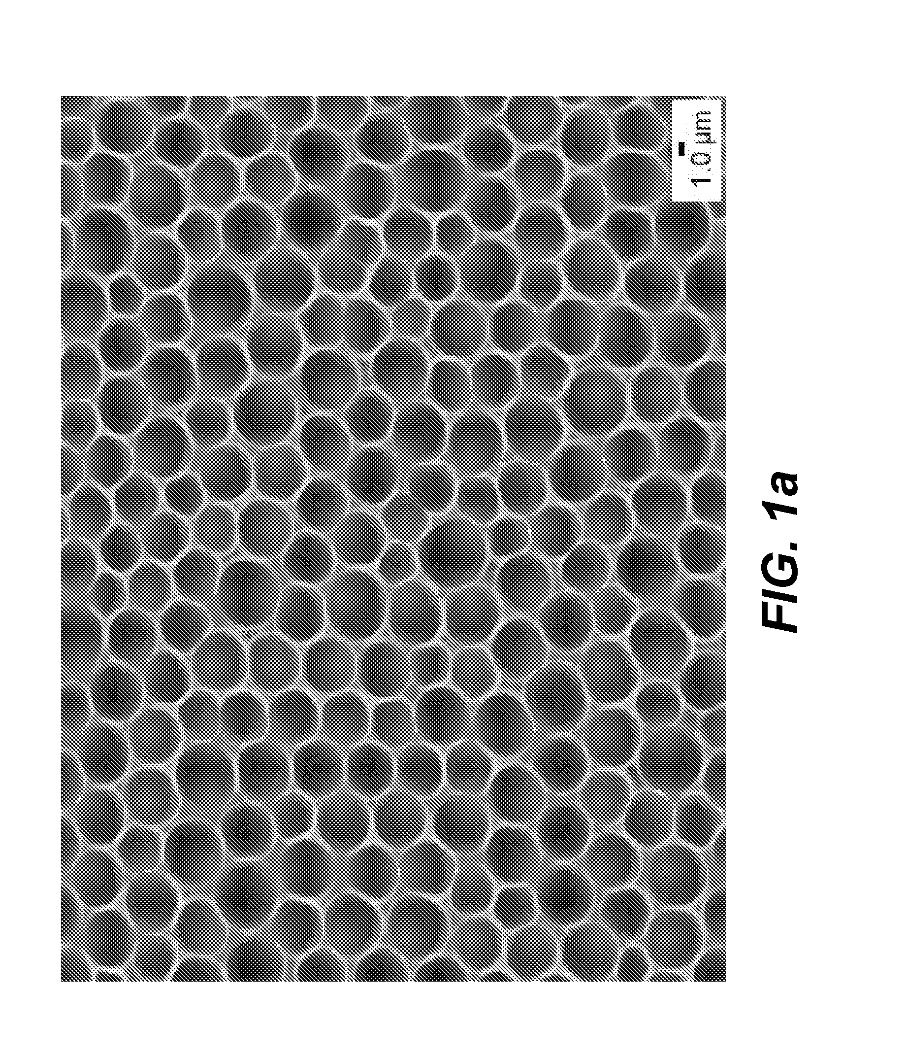 Light emitting device with microlens array