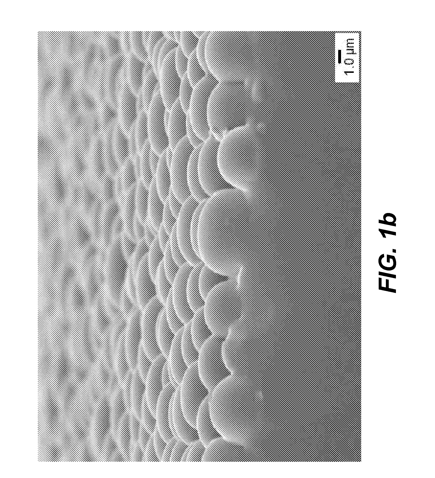 Light emitting device with microlens array