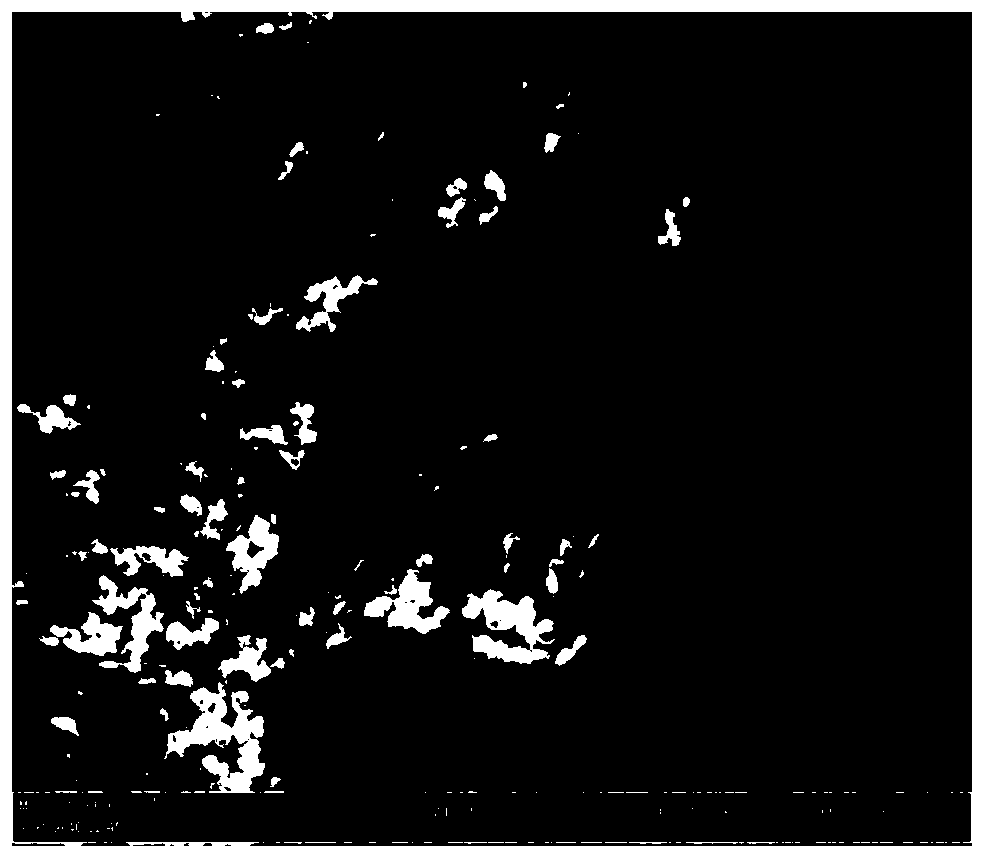 Preparation method of modified volcanic slag filter material and its application