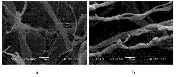 Preparation method and application of antimicrobial and anti-degradable small instestinal mucous accellular substrate